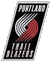 basketball logo