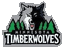 basketball logo